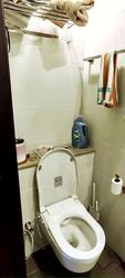 The Lilium (D19), Condominium #602841761
